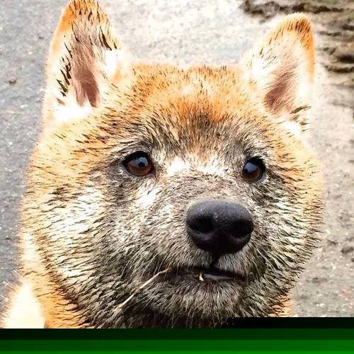 世界杯精彩纷呈：每一场都精彩无限！，世界杯精彩赛事