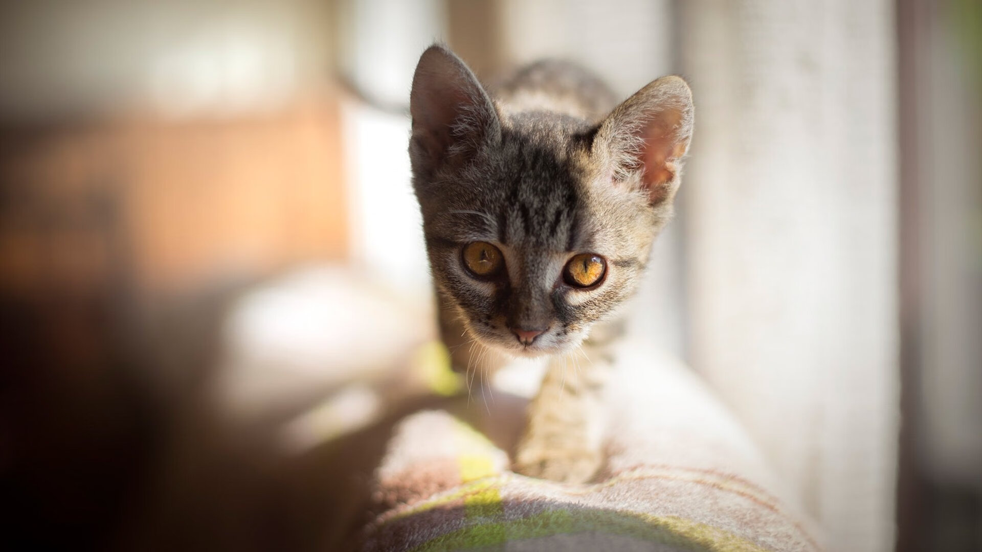 基层教练人才评估制度不完善,基层教练人才评估制度不完善整改措施